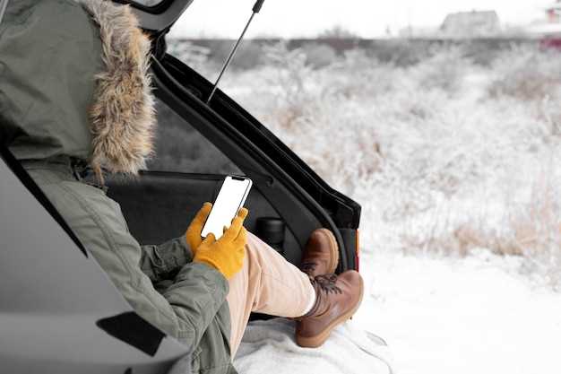 Winterizing Your Charger – What You Need to Do Winterizing Your Charger – What You Need to Do